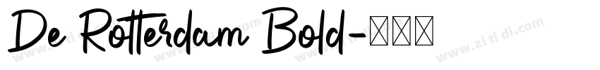 De Rotterdam Bold字体转换